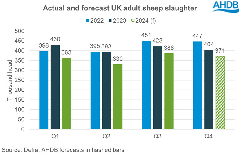 Actual and forecast adult sheep slaughter by quarter 